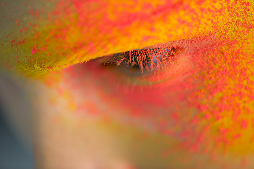 beauty, photograph 40