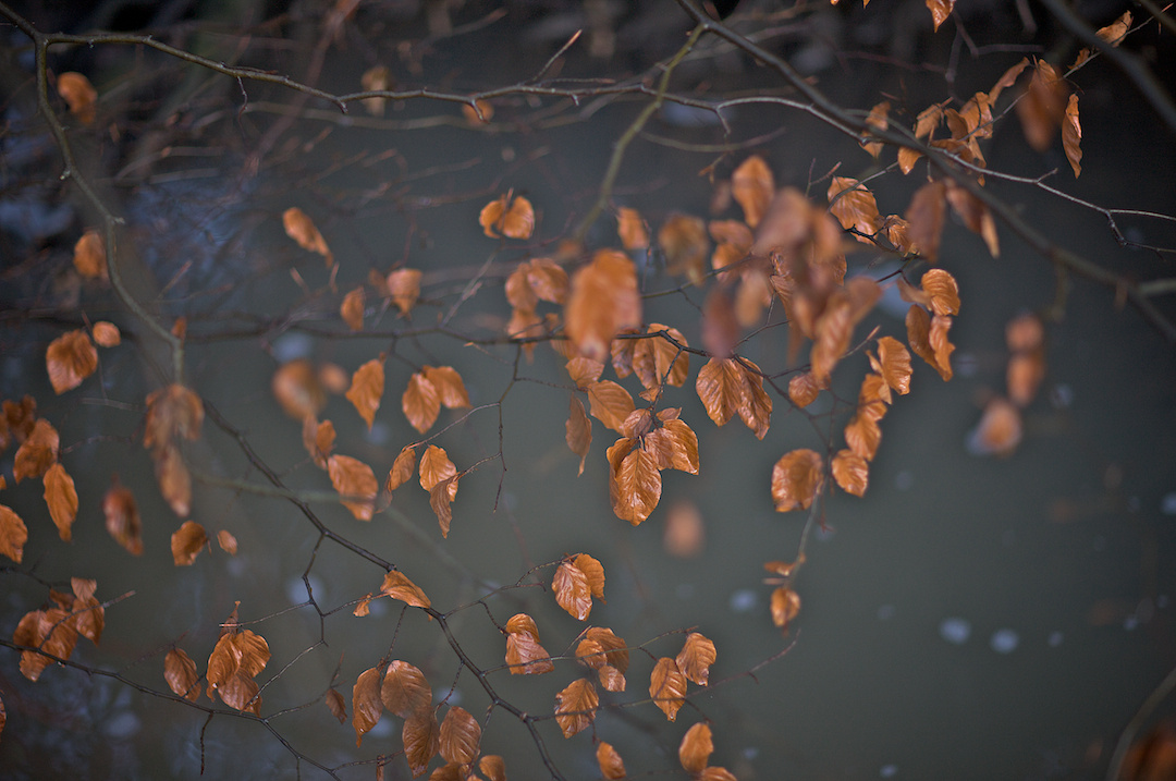 derbyshire, photograph 9