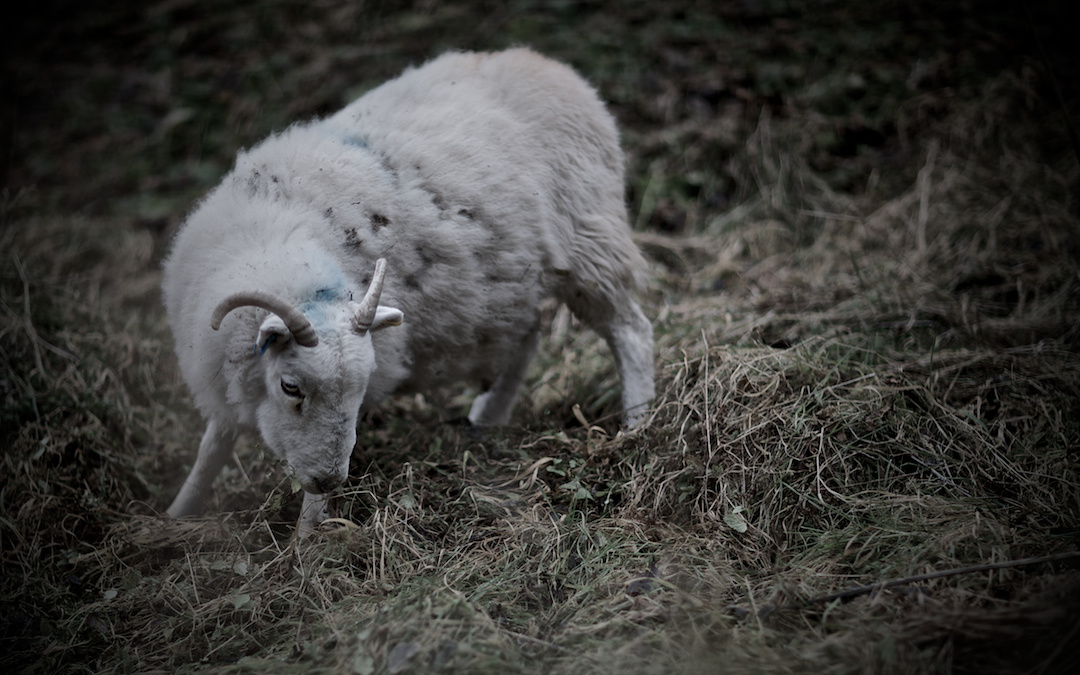 derbyshire, photograph 14