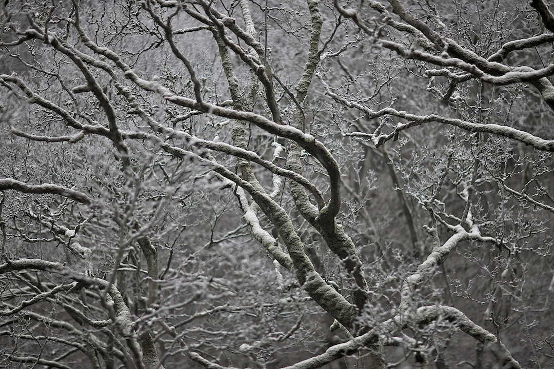 derbyshire, photograph 15