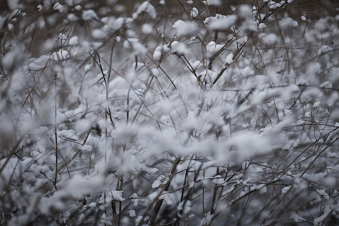 derbyshire, photograph 17