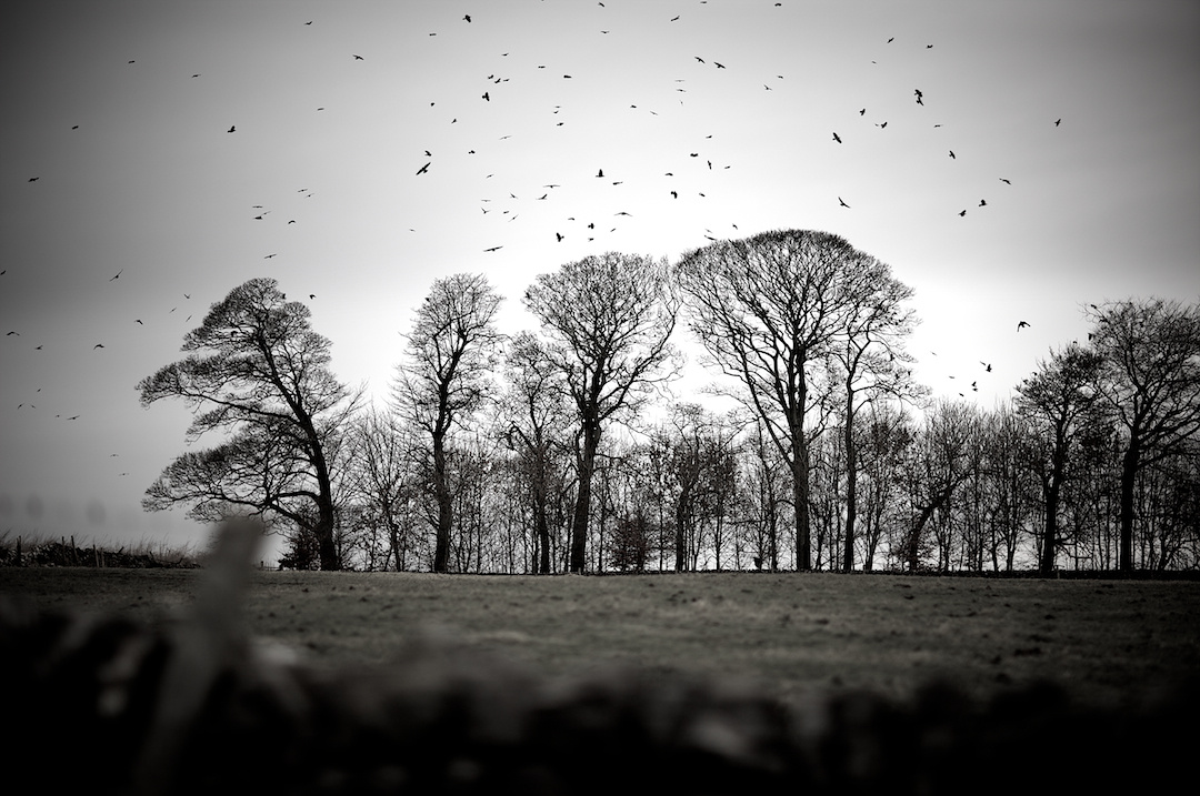 derbyshire, photograph 24