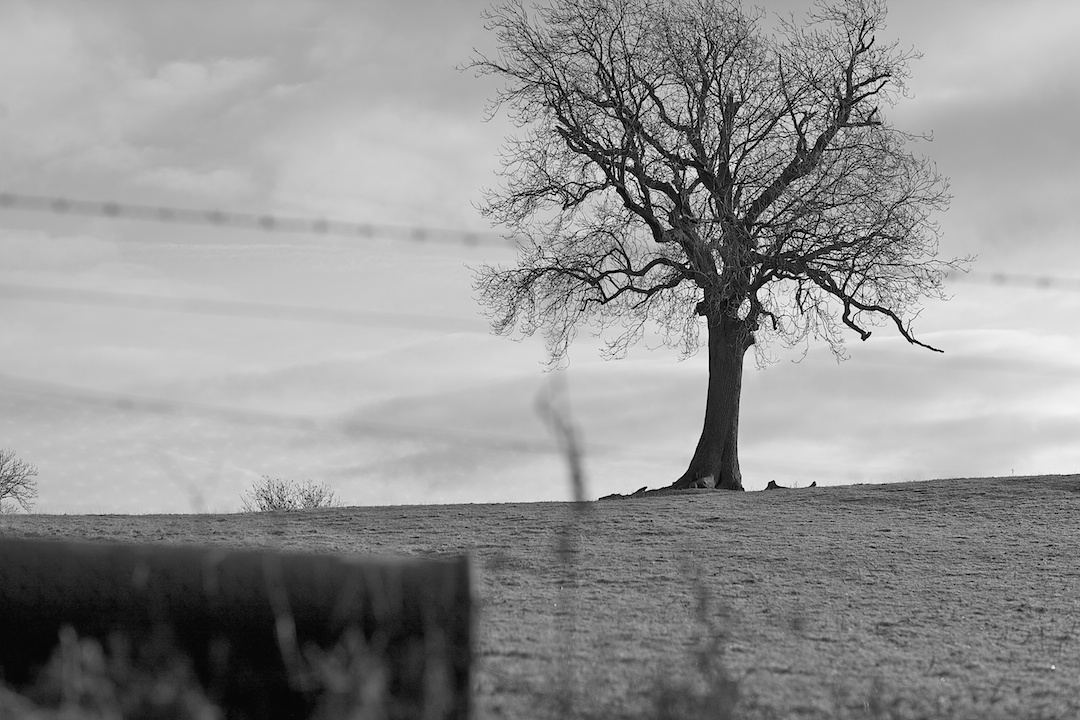 derbyshire, photograph 26