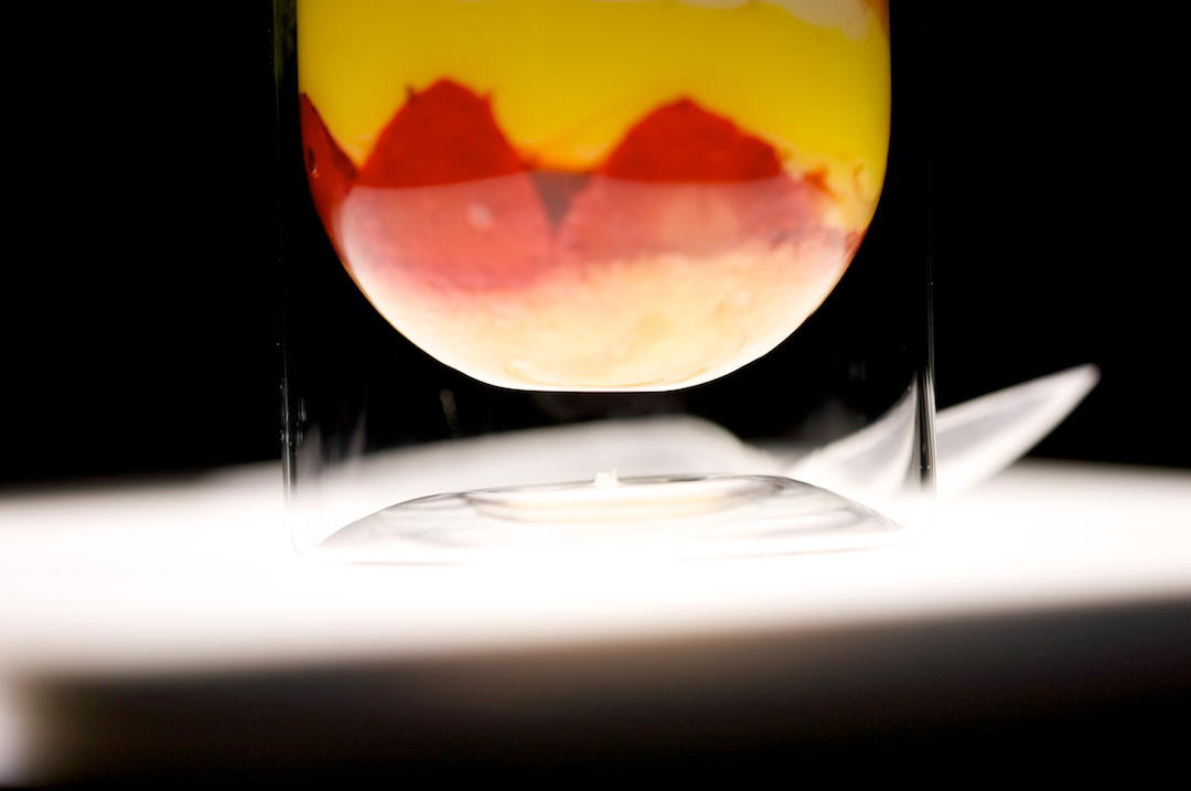 FATDUCKATHOME, photograph 22