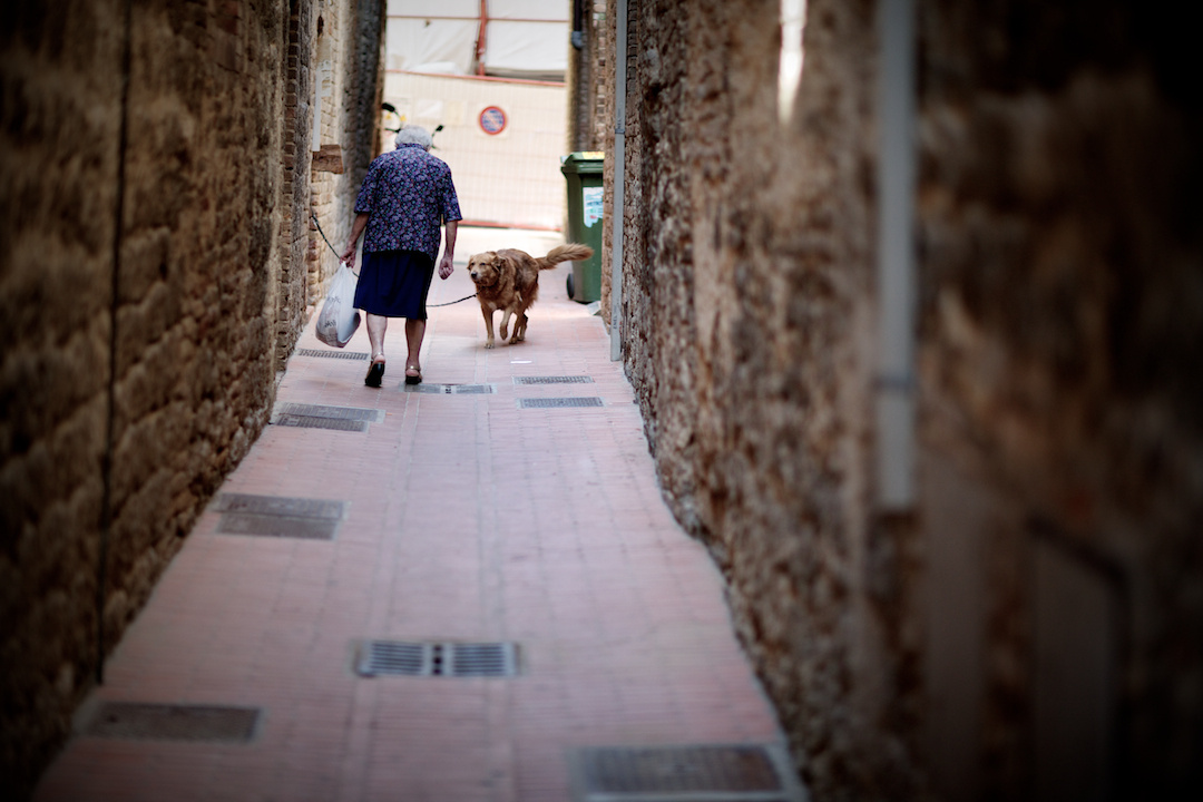 FLORENCE, photograph 7