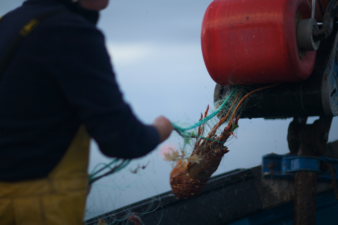 ISLAY, photograph 4