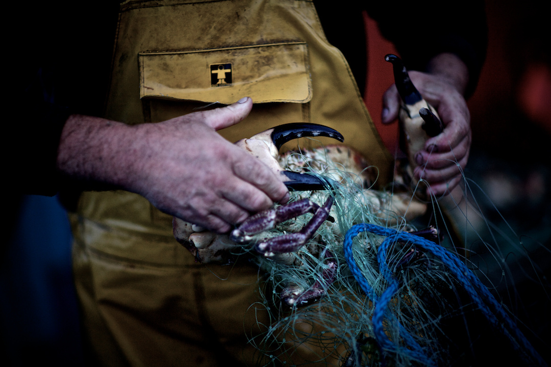 ISLAY, photograph 6