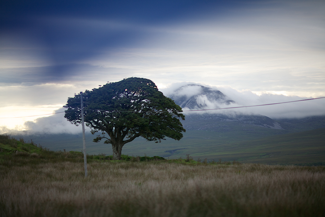 ISLAY, photograph 15