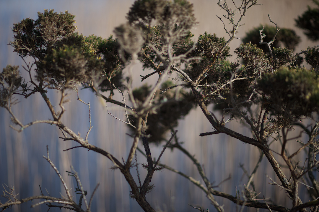 ISLAY, photograph 16