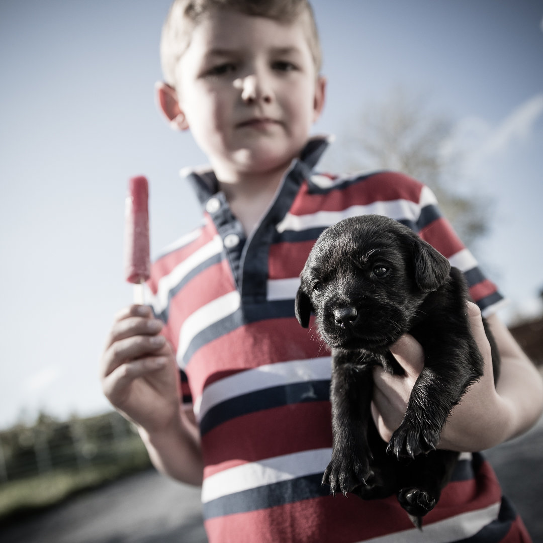 Portfolio2012, photograph 1