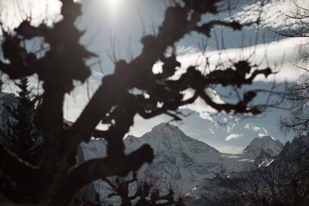 Wengen01/2015, photograph 33