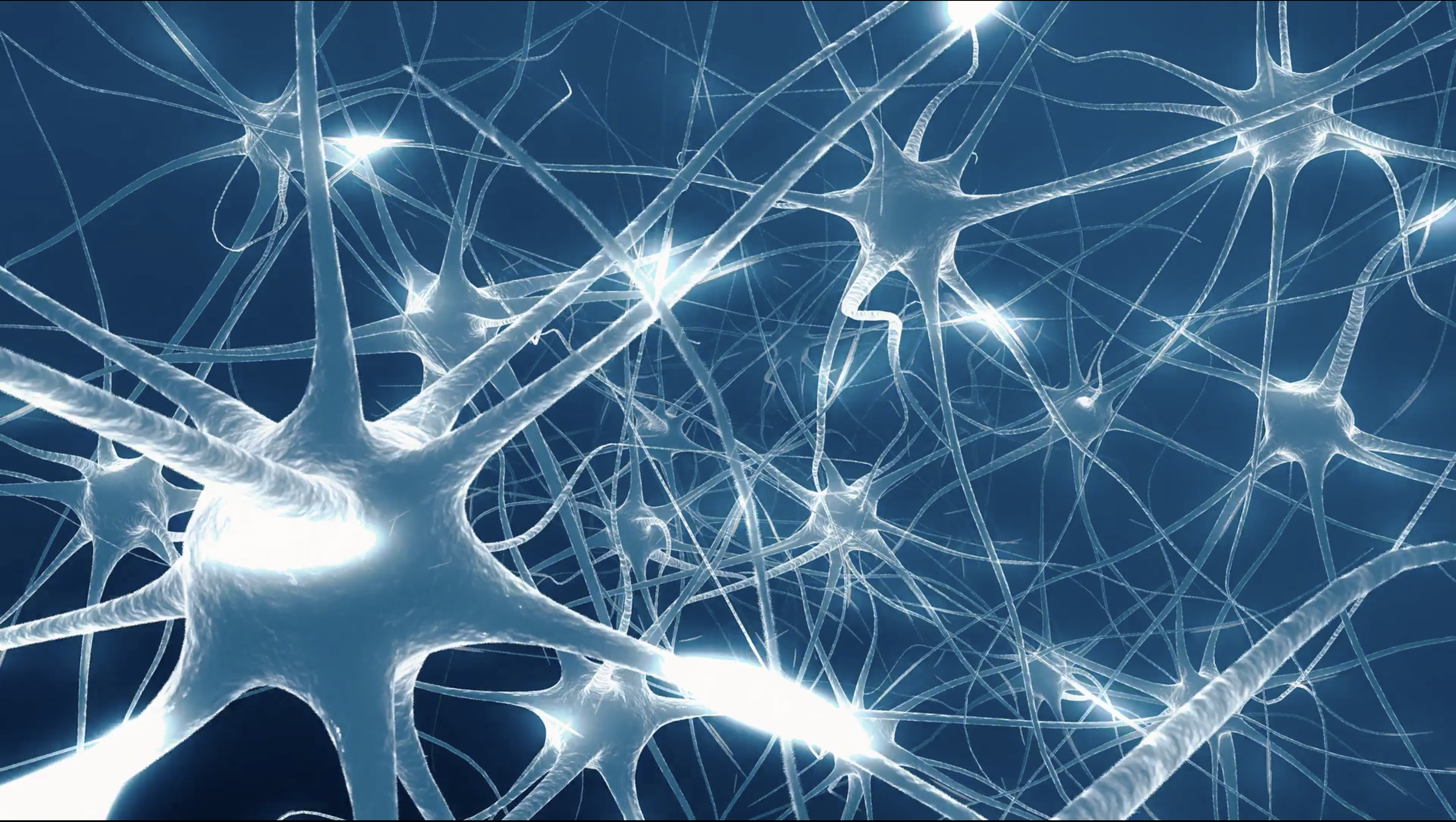 Brain neurons